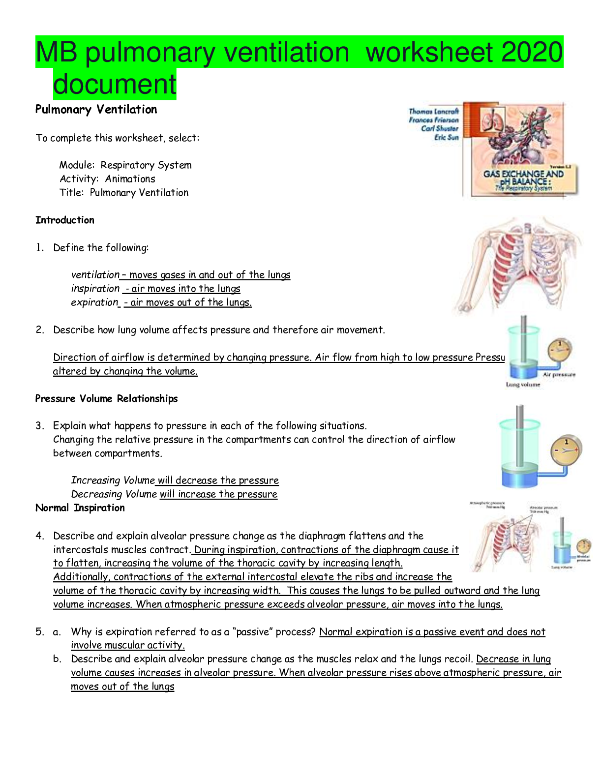 Preview image of MB pulmonary ventilation  worksheet 2020 document document